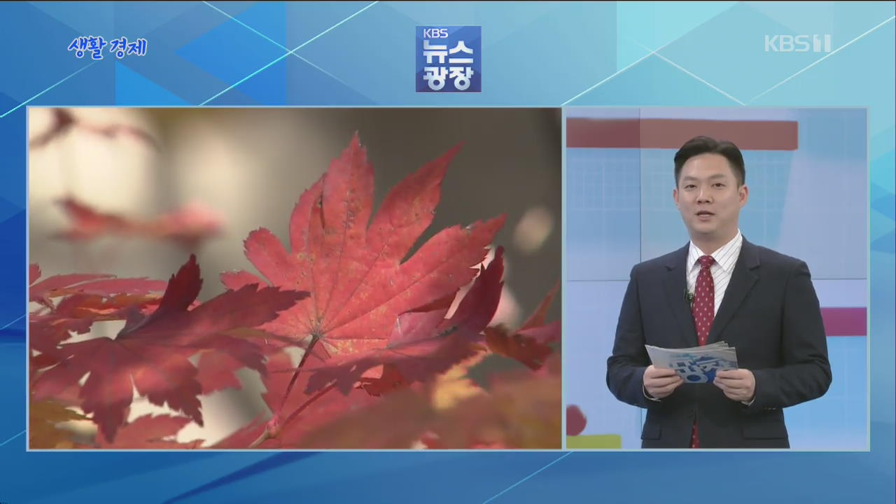 [생활경제] ‘단풍 절정’ 시기 확인하는 방법은?