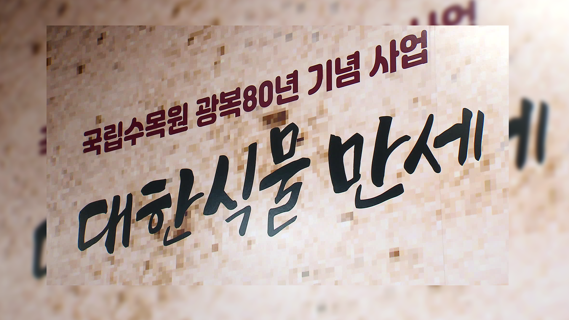 우리 식물 ‘잃어버린 이름’, 광복 80주년 맞아 되찾았다